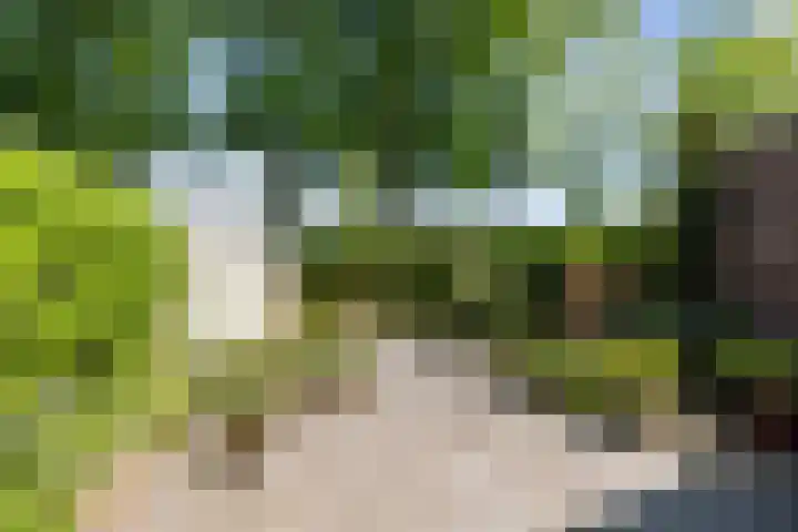 Margijnenenk 20 Deventer thumbnail 19