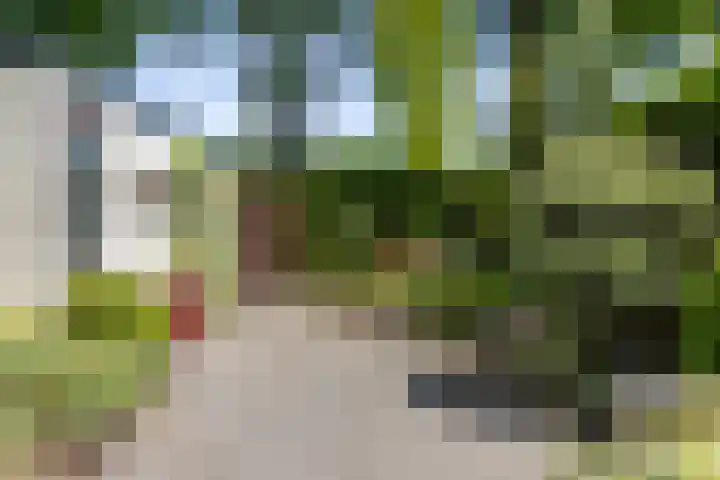 Margijnenenk 20 Deventer thumbnail 20