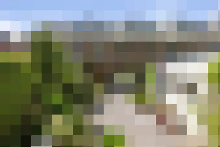 Margijnenenk 20 Deventer thumbnail 21