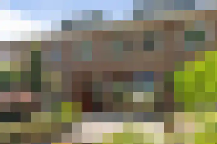 Margijnenenk 20 Deventer thumbnail 22