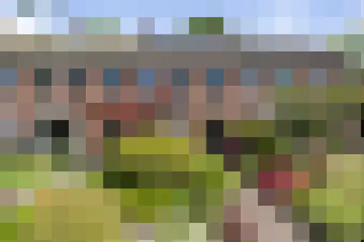 Margijnenenk 20 Deventer thumbnail 23