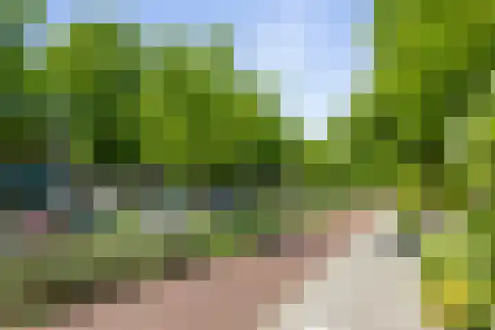 Margijnenenk 20 Deventer thumbnail 25