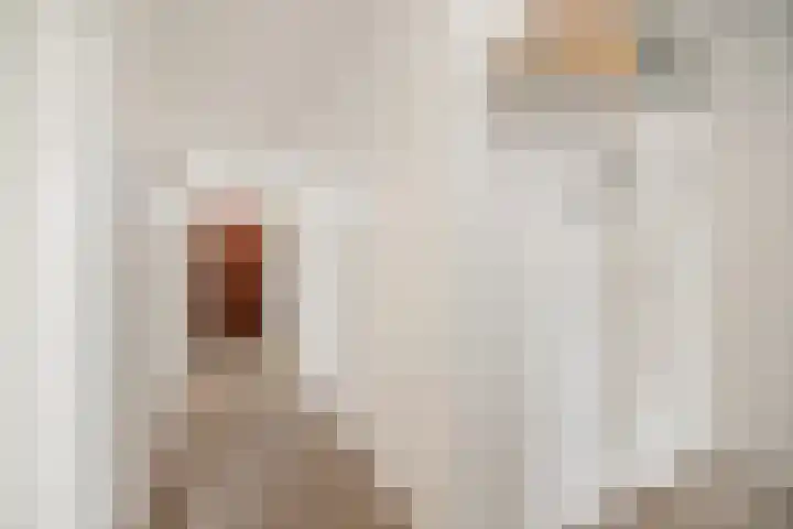 Margijnenenk 201 Deventer thumbnail 16