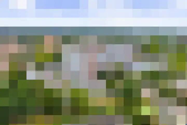 Margijnenenk 201 Deventer thumbnail 18