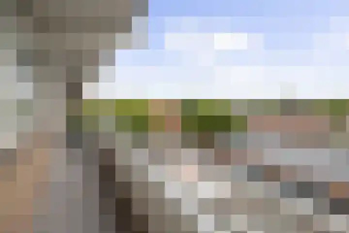 Margijnenenk 201 Deventer thumbnail 21