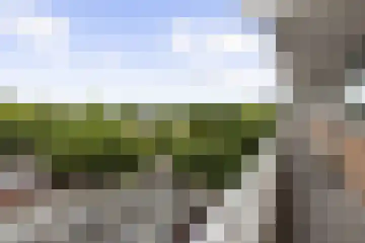 Margijnenenk 201 Deventer thumbnail 22