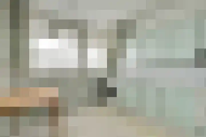 Margijnenenk 229 Deventer thumbnail 7