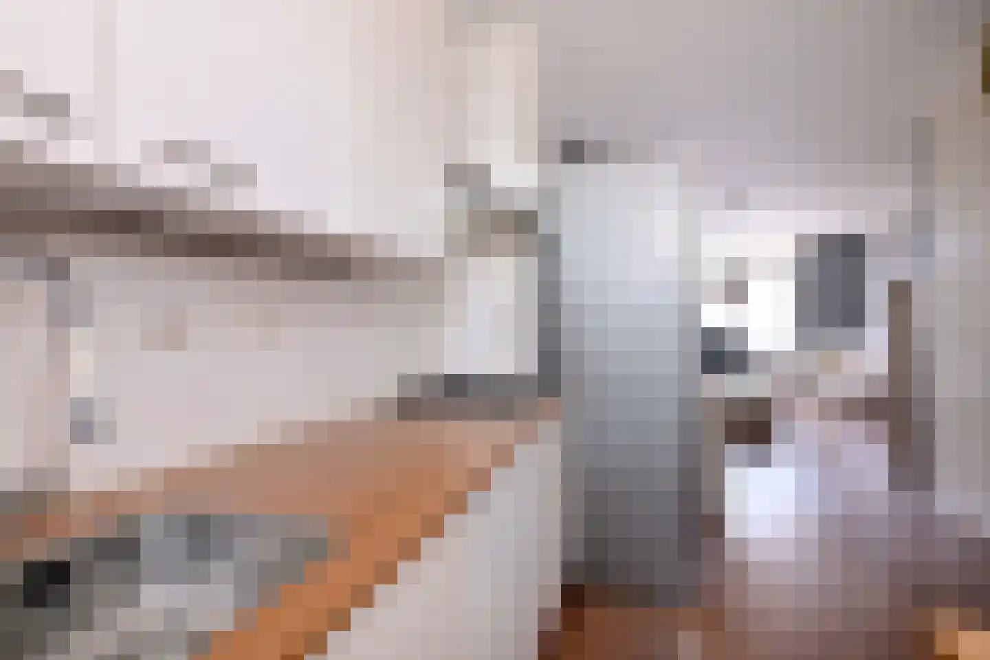 Margijnenenk 50 Deventer thumbnail 11