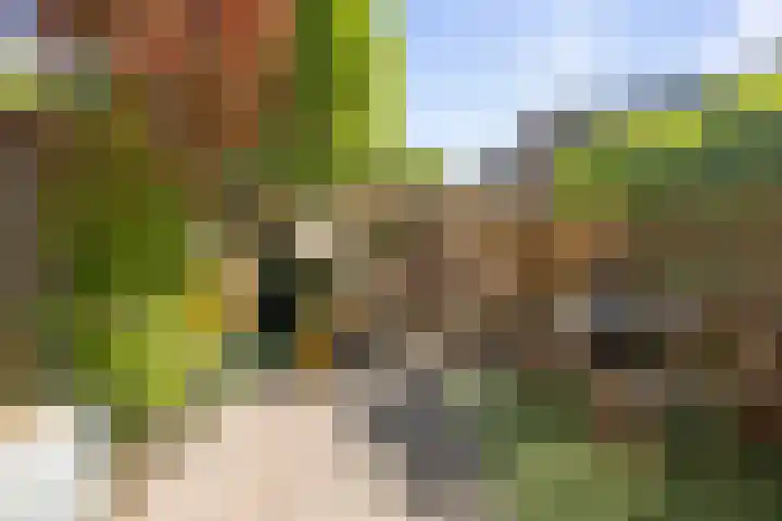 Margijnenenk 56 Deventer thumbnail 20