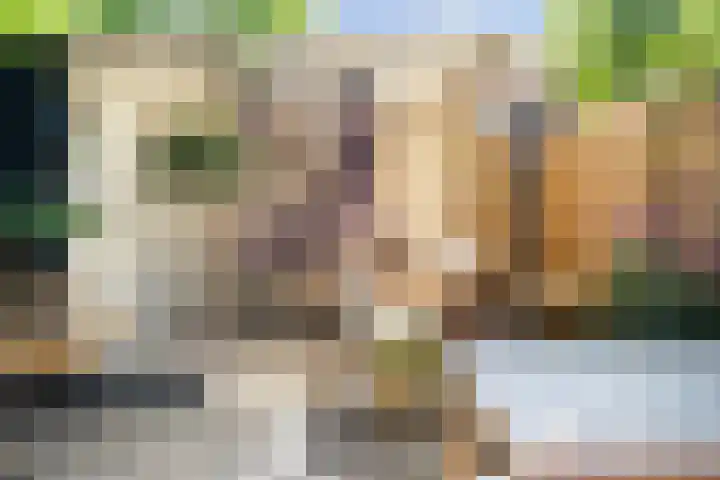 Margijnenenk 56 Deventer thumbnail 21