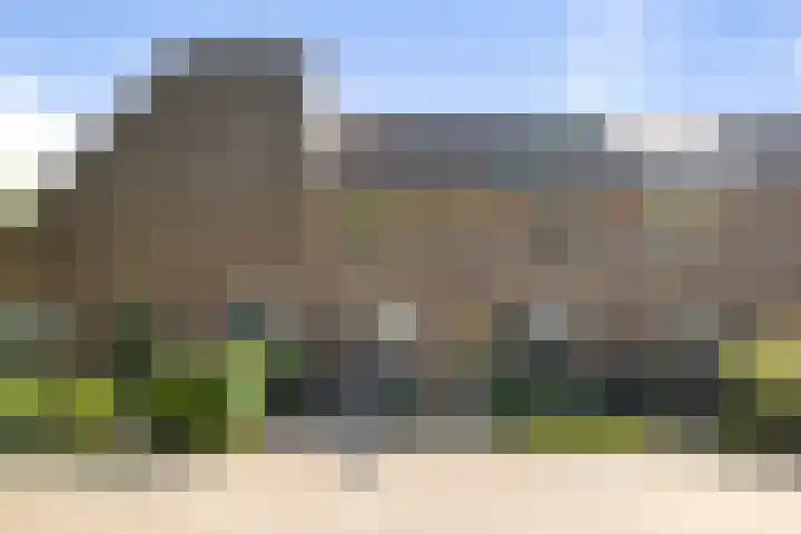 Margijnenenk 56 Deventer thumbnail 23