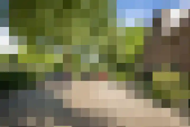 Margijnenenk 56 Deventer thumbnail 24