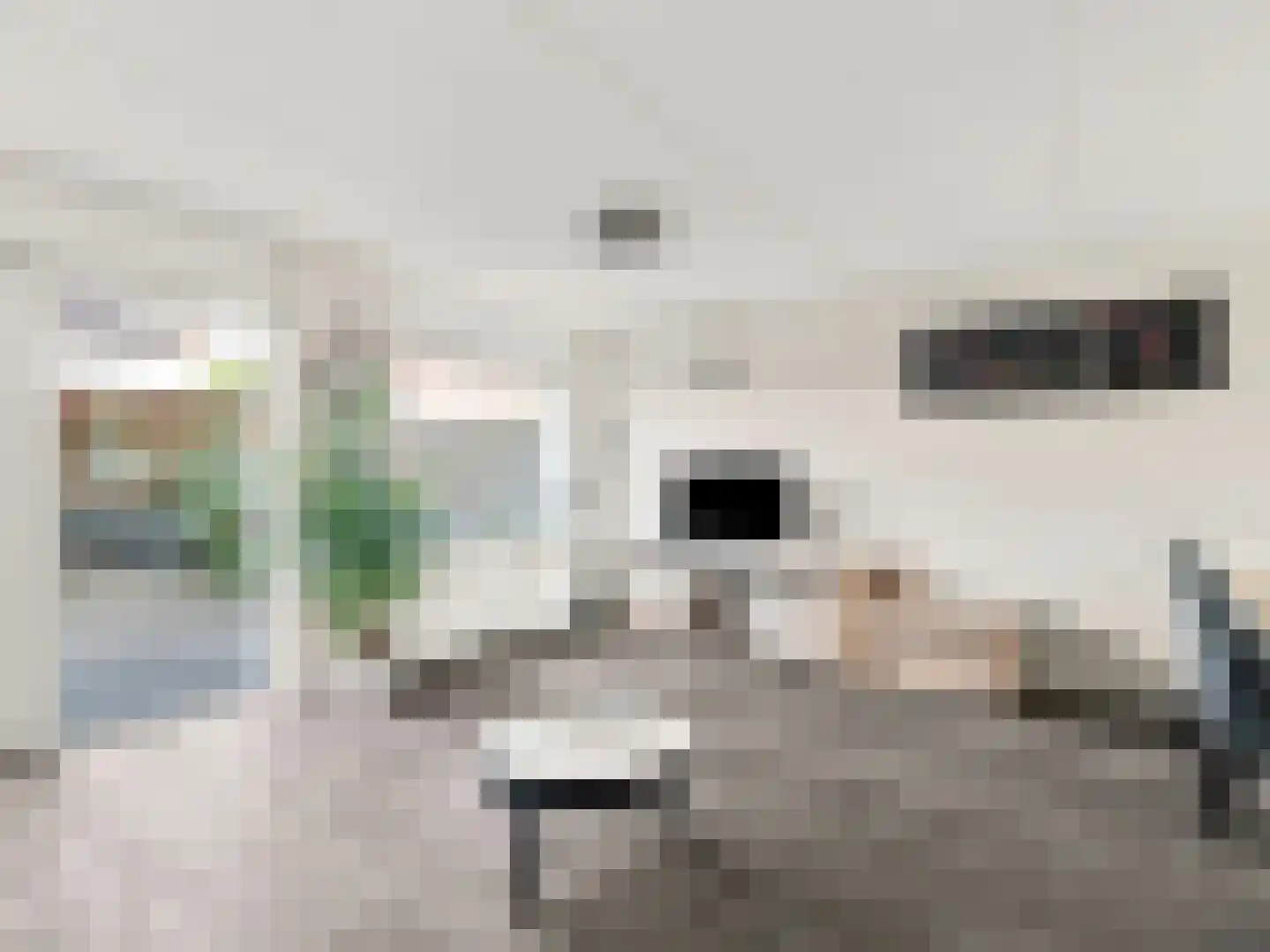 Margo Antinkstraat 13 Zutphen thumbnail 5