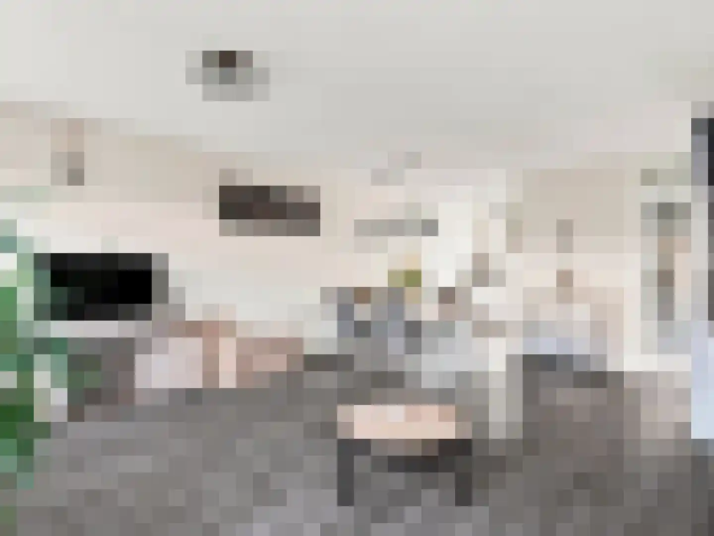 Margo Antinkstraat 13 Zutphen thumbnail 7