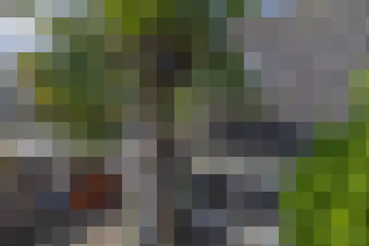 Margo Antinkstraat 29 Leiden thumbnail 28