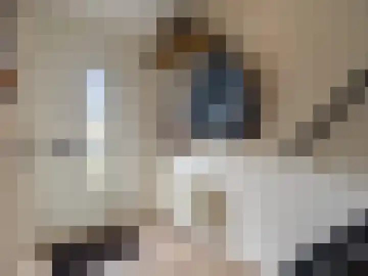 Margo Antinkstraat 5 Zutphen thumbnail 11