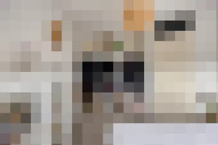 Margratenplein 27 Tilburg thumbnail 22
