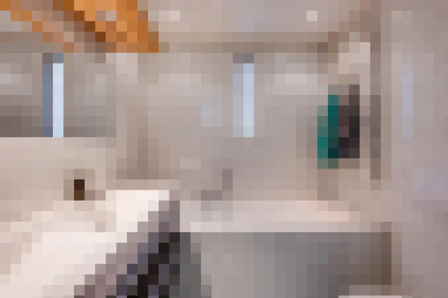 Margriet 11 Udenhout thumbnail 24