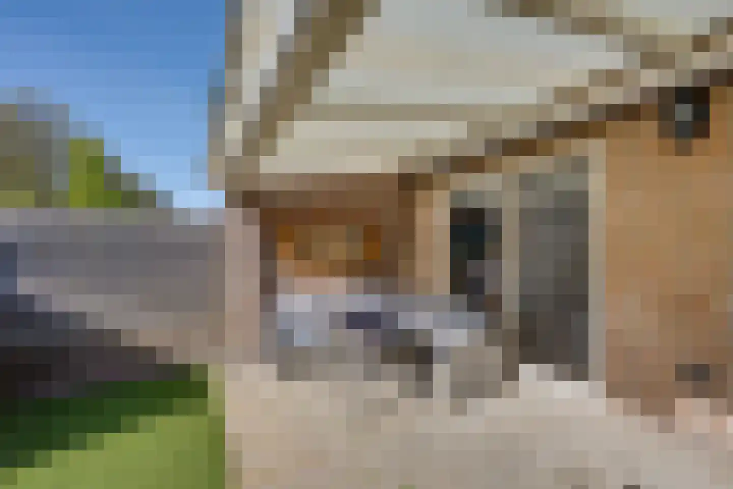 Margriet 11 Udenhout thumbnail 36