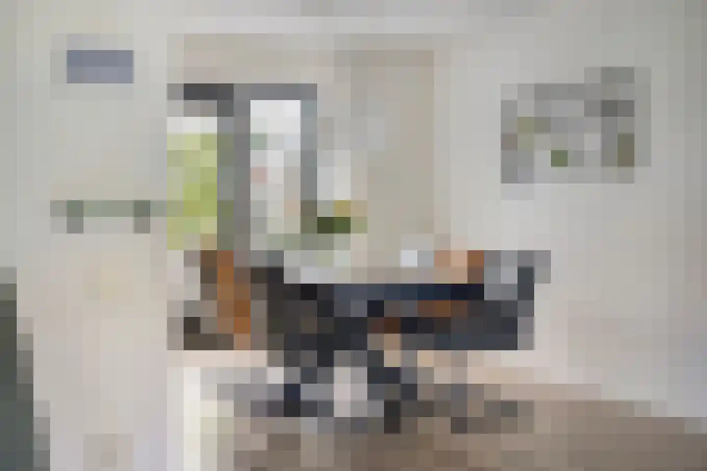 Margriet 12 Hardenberg thumbnail 10