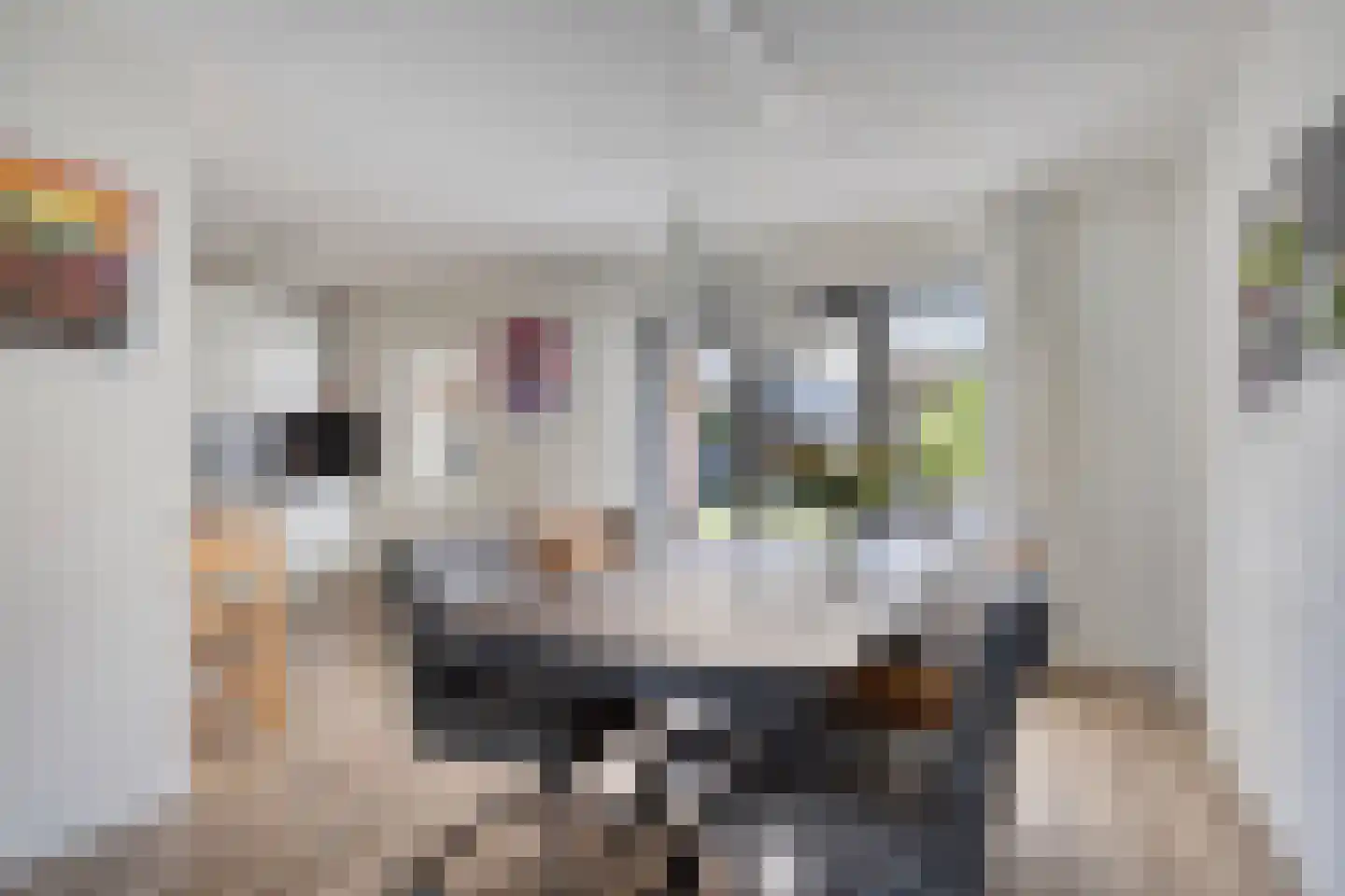 Margriet 12 Hardenberg thumbnail 12