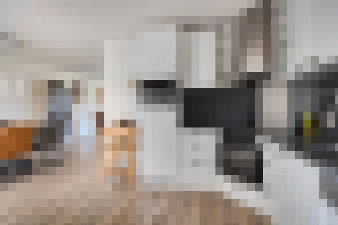 Margriet 12 Hardenberg thumbnail 13