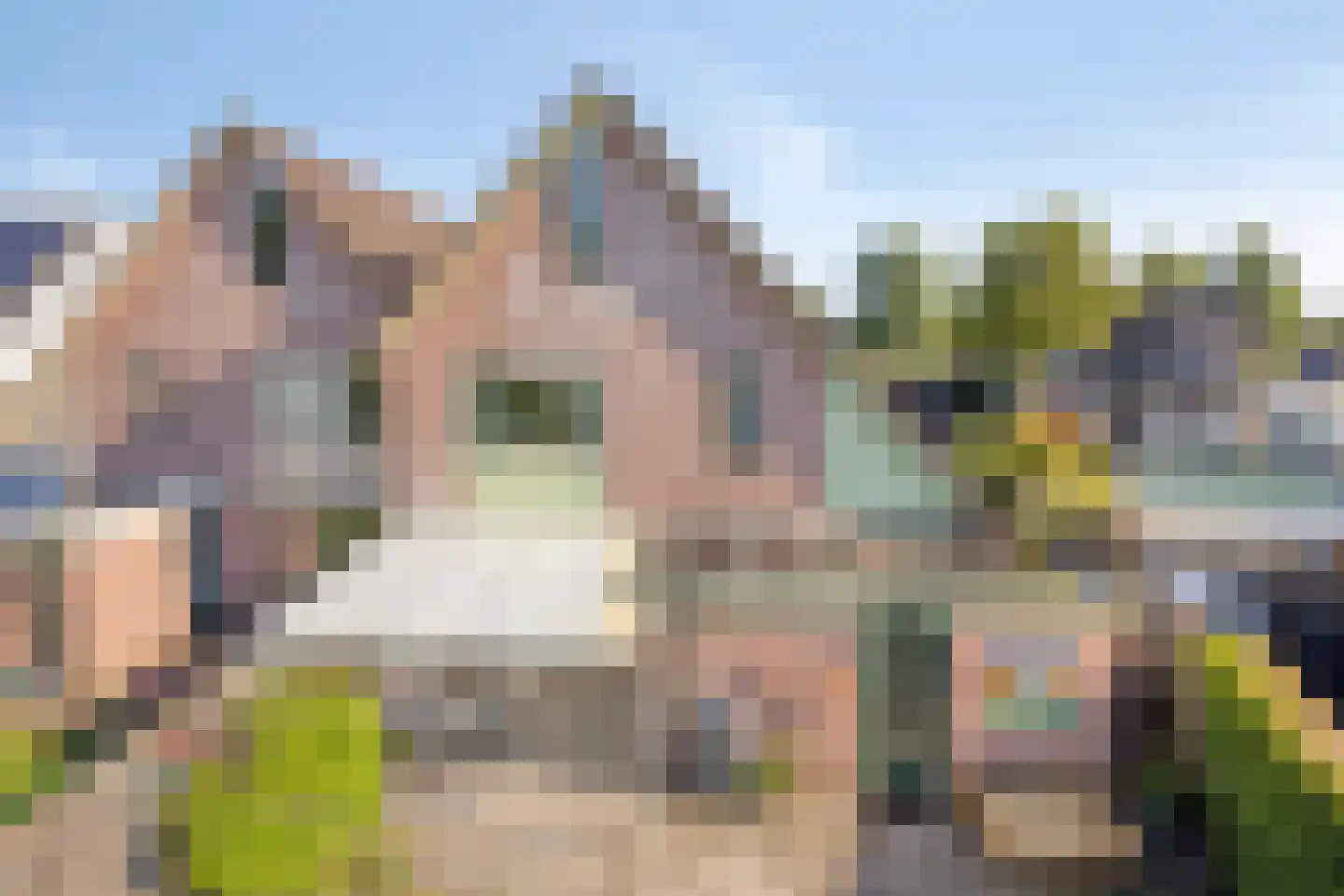 Margriet 12 Hardenberg thumbnail 36