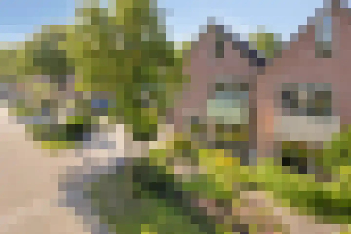 Margriet 12 Hardenberg thumbnail 37