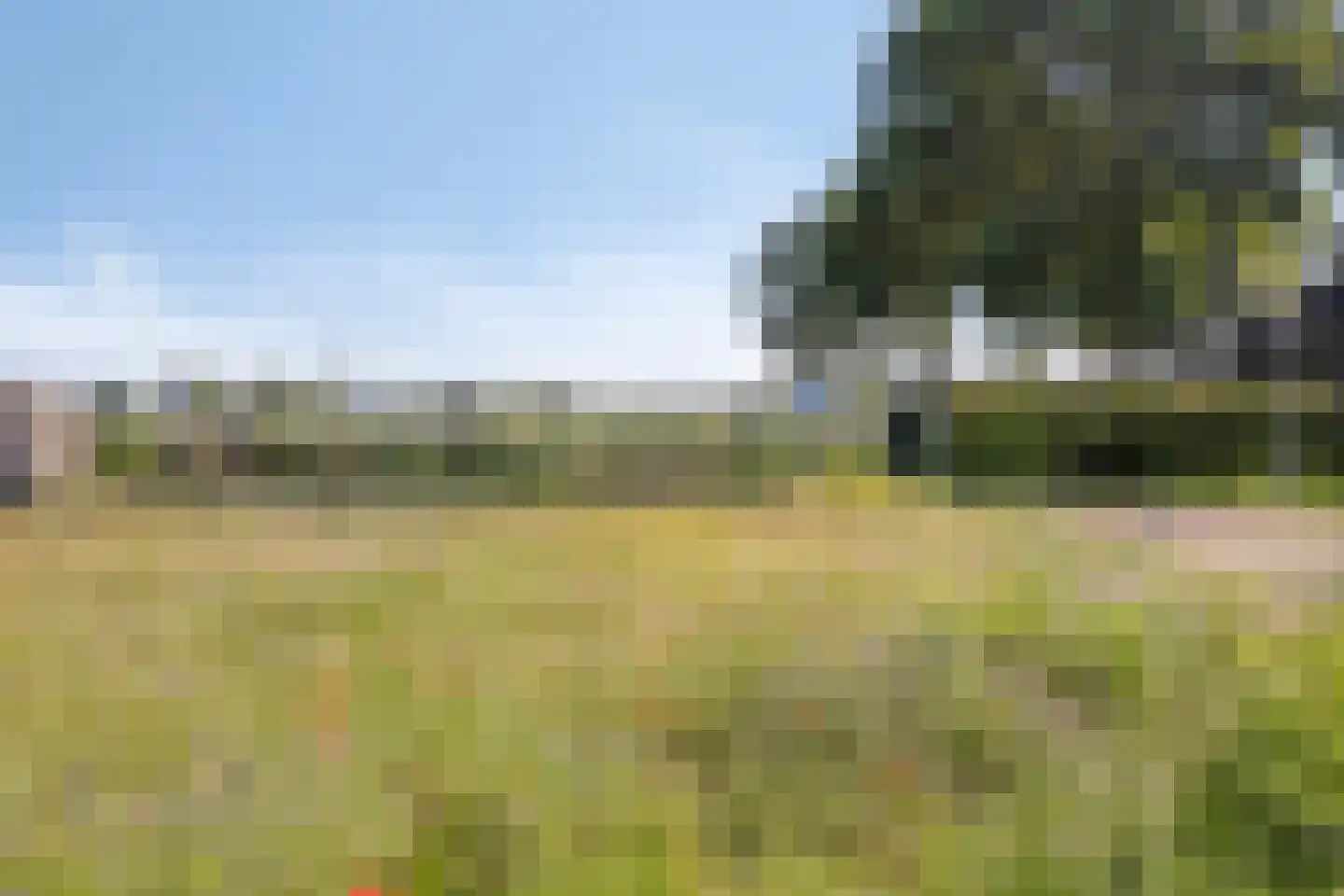 Margriet 12 Hardenberg thumbnail 40