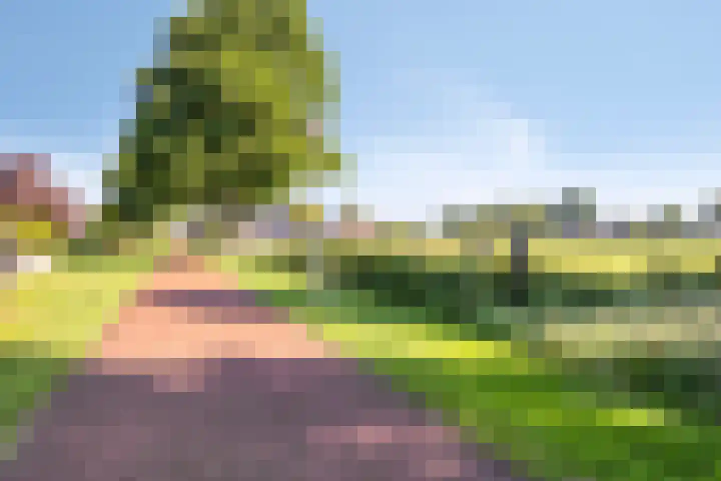 Margriet 12 Hardenberg thumbnail 41