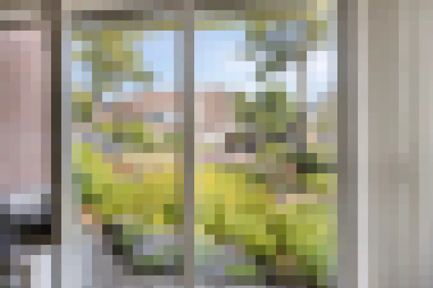 Margriet 12 Hardenberg thumbnail 8