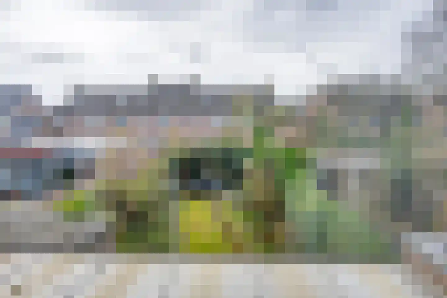 Margriet 19 Udenhout thumbnail 29