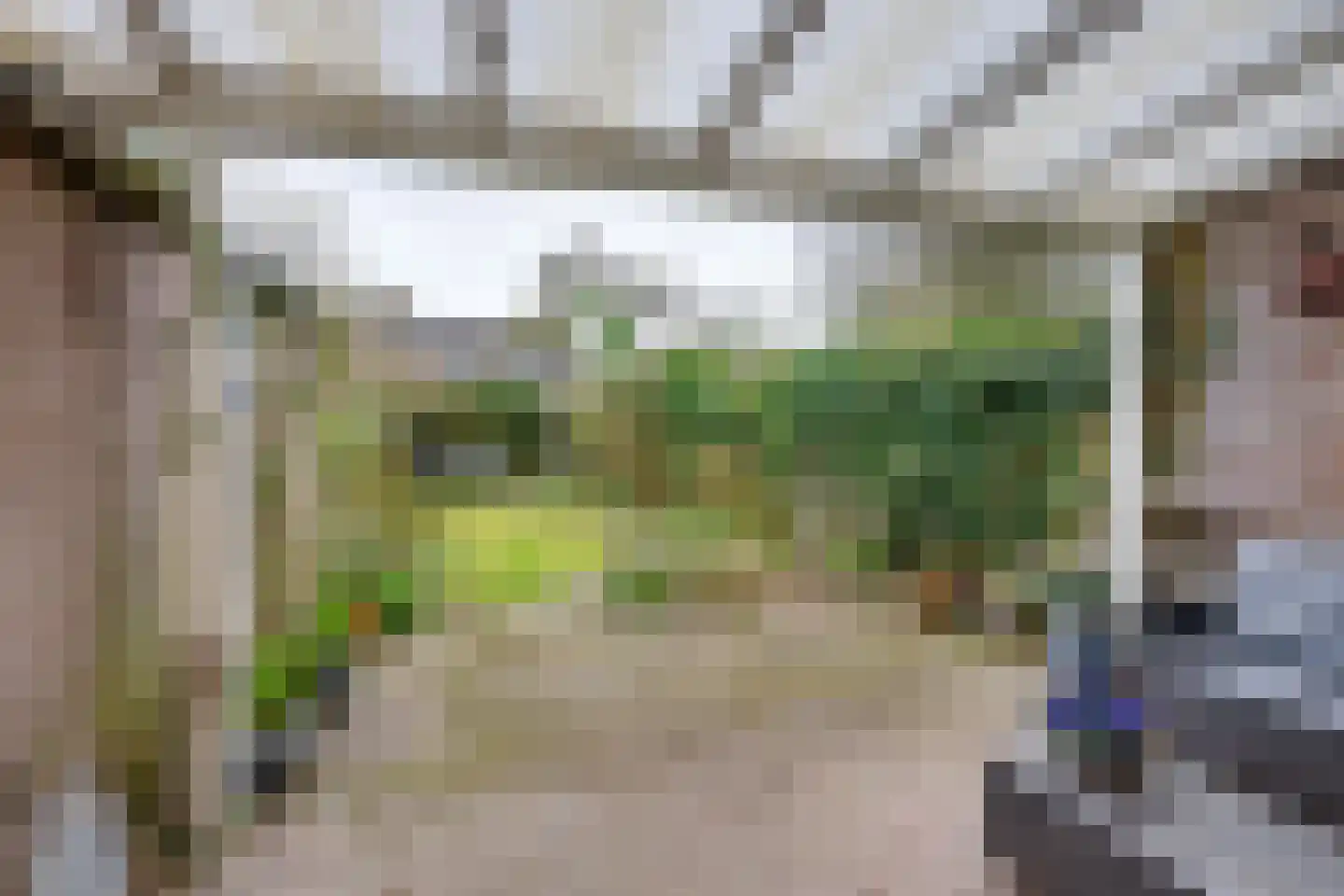 Margriet 19 Udenhout thumbnail 32