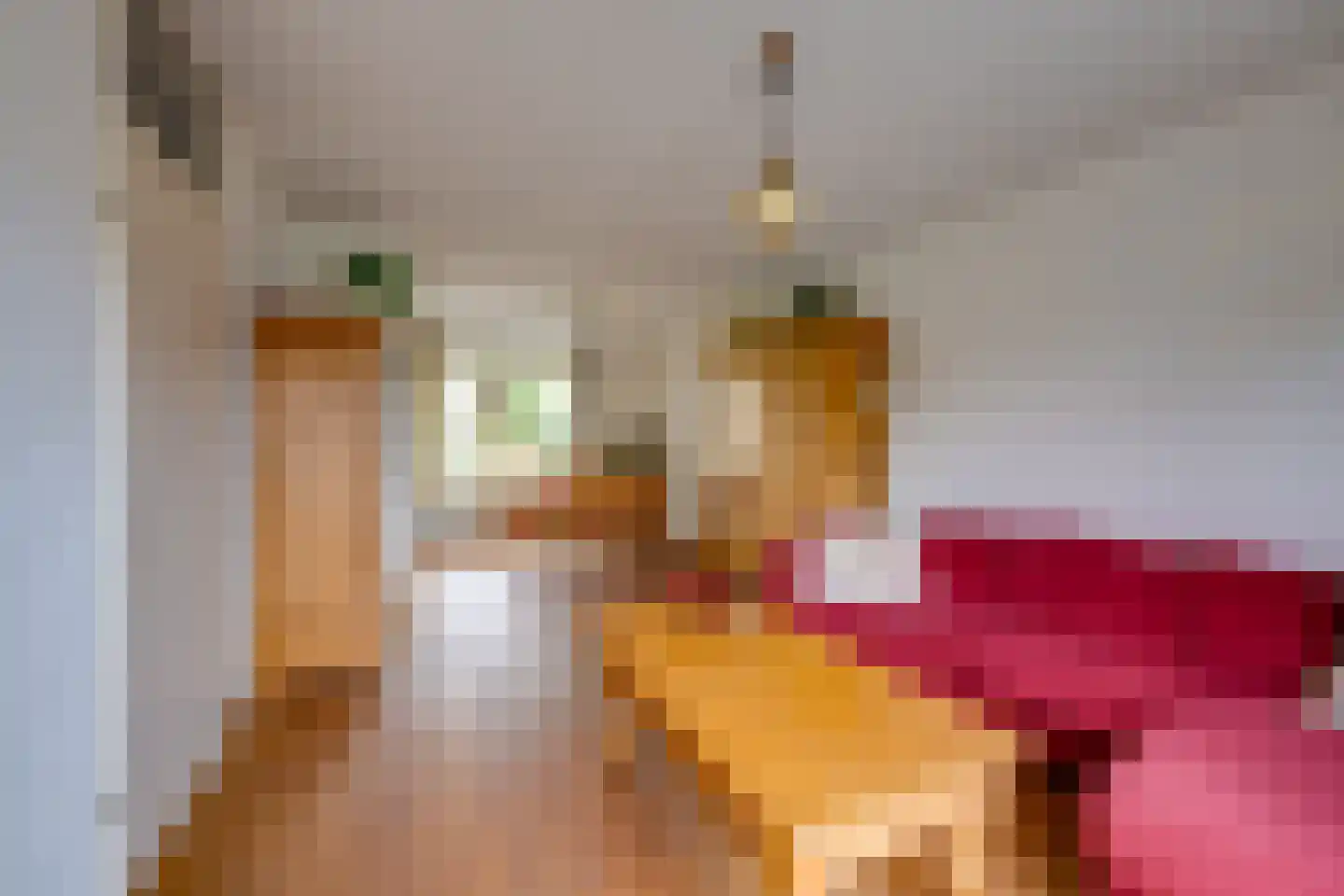 Margriet 19 Udenhout thumbnail 9