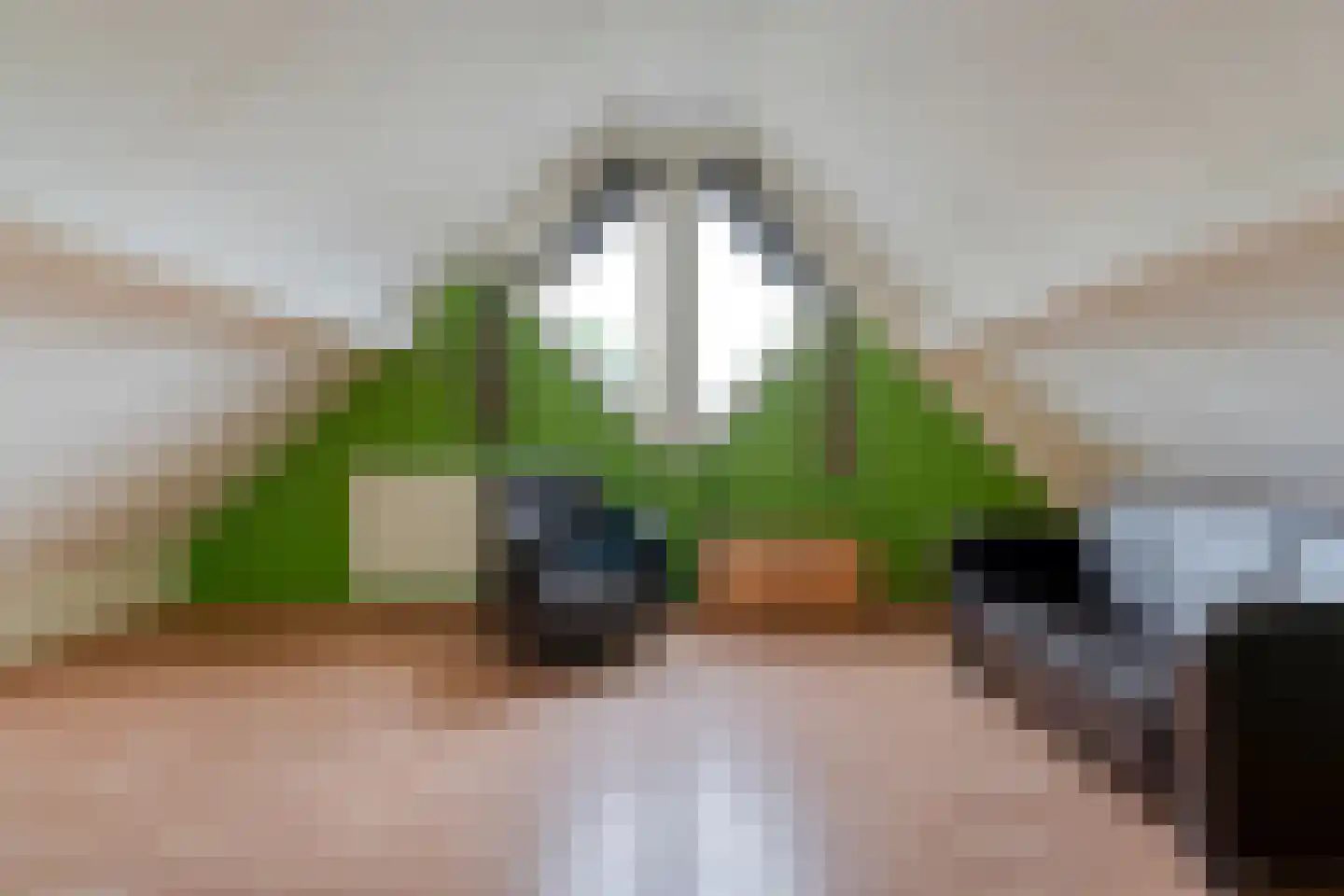 Margriet 20 Hardenberg thumbnail 37