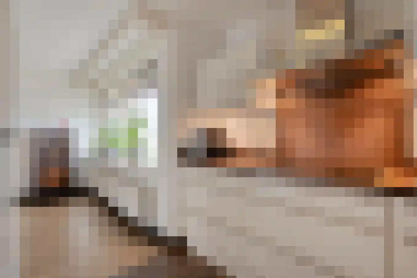 Margriet 20 Hardenberg thumbnail 5