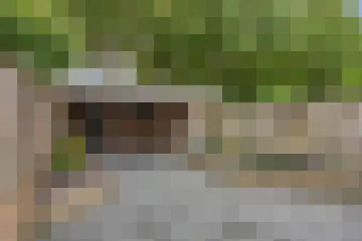 Margriet 27 Udenhout thumbnail 27