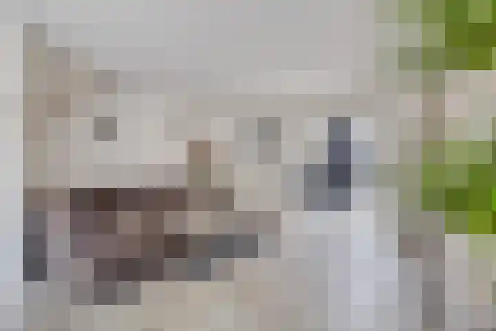 Margriet 27 Udenhout thumbnail 4
