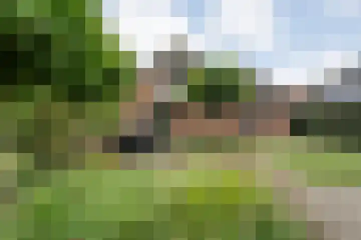 Margriet 31 Hardenberg thumbnail 34