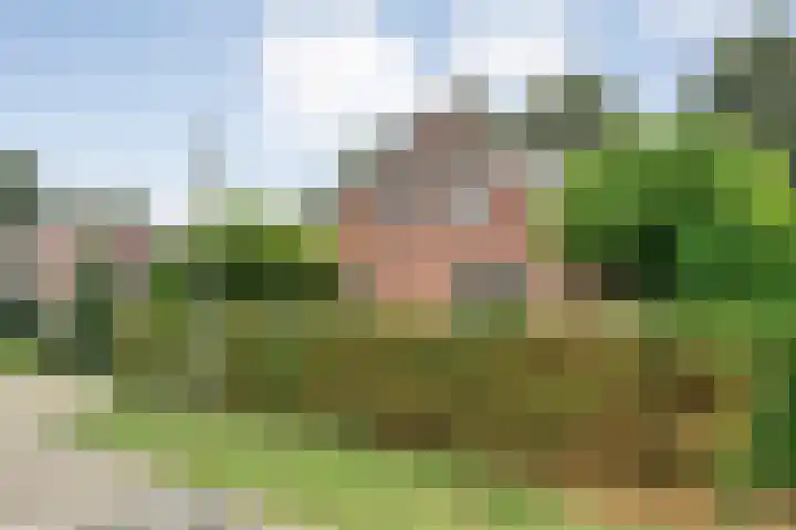 Margriet 31 Hardenberg thumbnail 49