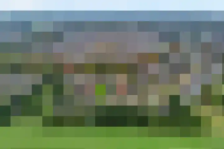 Margriet 31 Hardenberg thumbnail 5