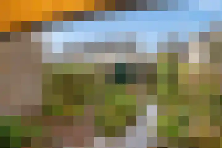 Margriet 32 Nootdorp thumbnail 18