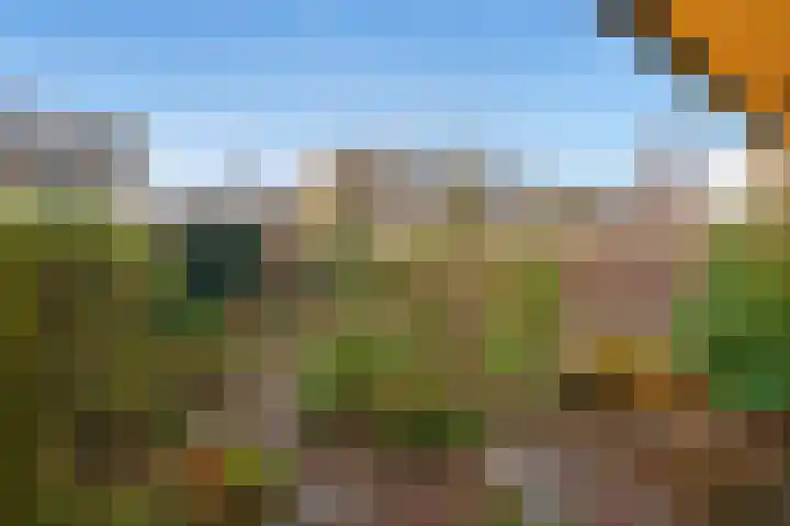 Margriet 32 Nootdorp thumbnail 20