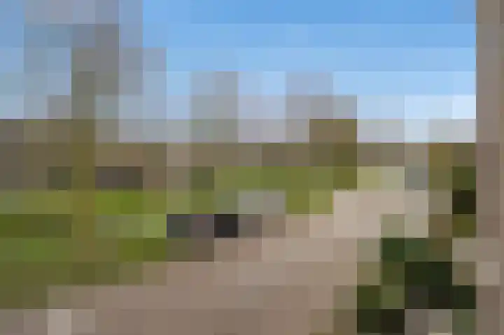 Margriet 32 Nootdorp thumbnail 30