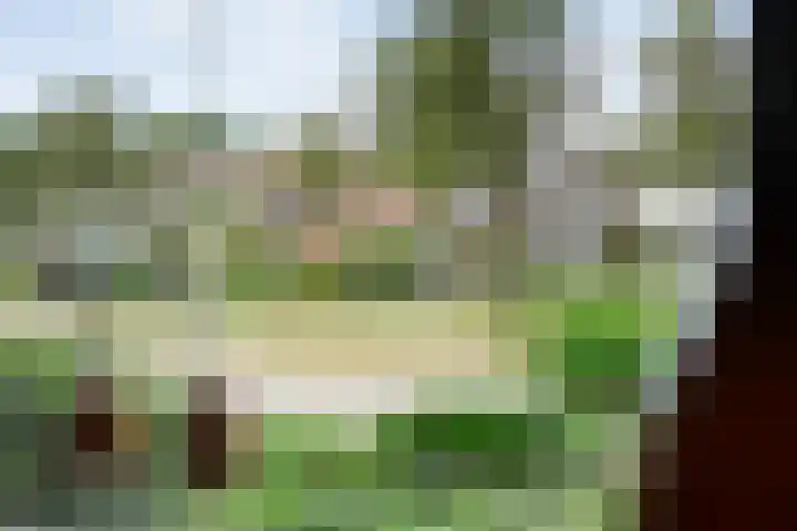 Margriet 55 Hardenberg thumbnail 11