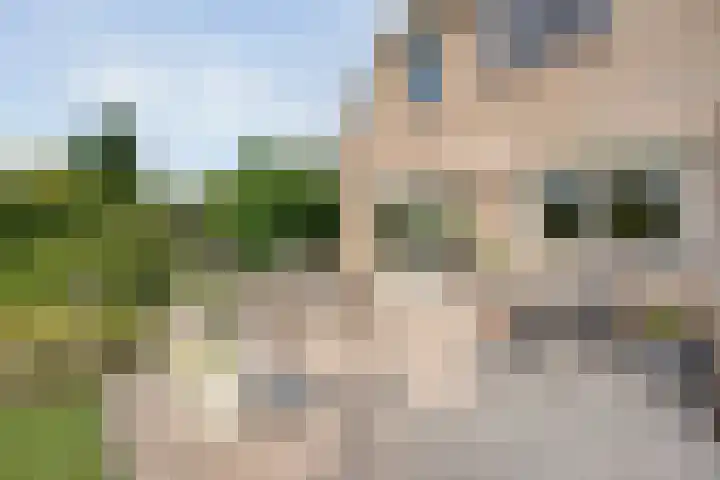 Margriet 55 Hardenberg thumbnail 38