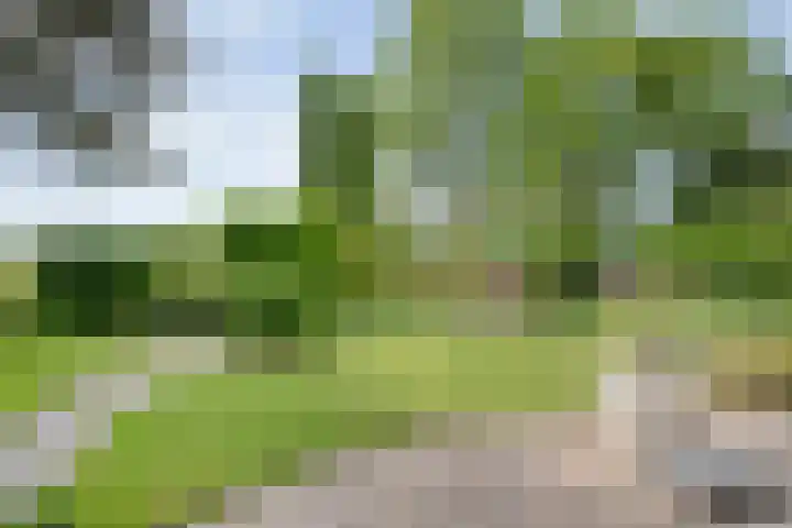Margriet 55 Hardenberg thumbnail 39