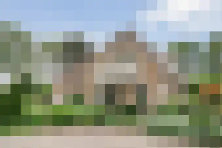 Margriet 55 Hardenberg thumbnail 47