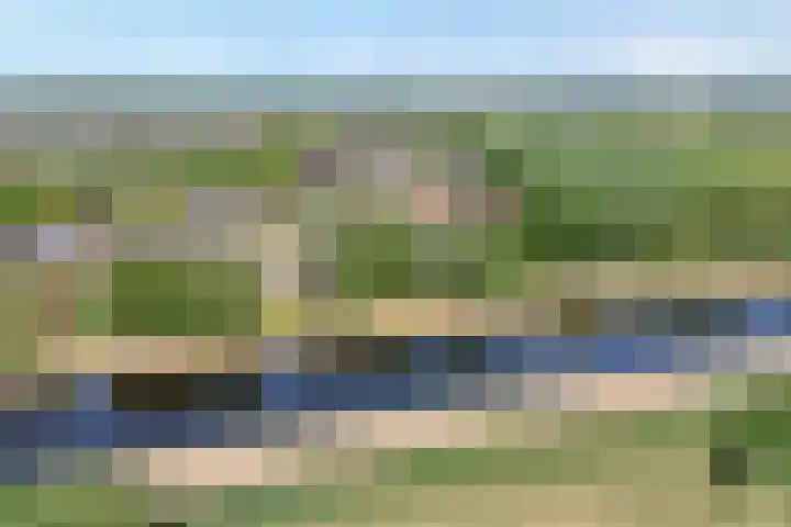 Margriet 55 Hardenberg thumbnail 48