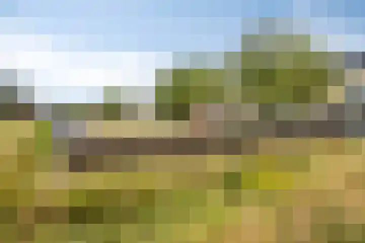 Margrietberg 14 Roosendaal thumbnail 37
